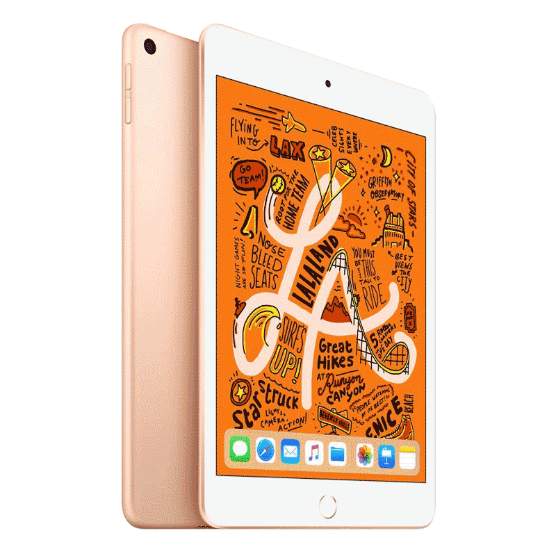 Apple iPad Mini 5 (2019) | Gold | 256GB | Fair | Wi-Fi 