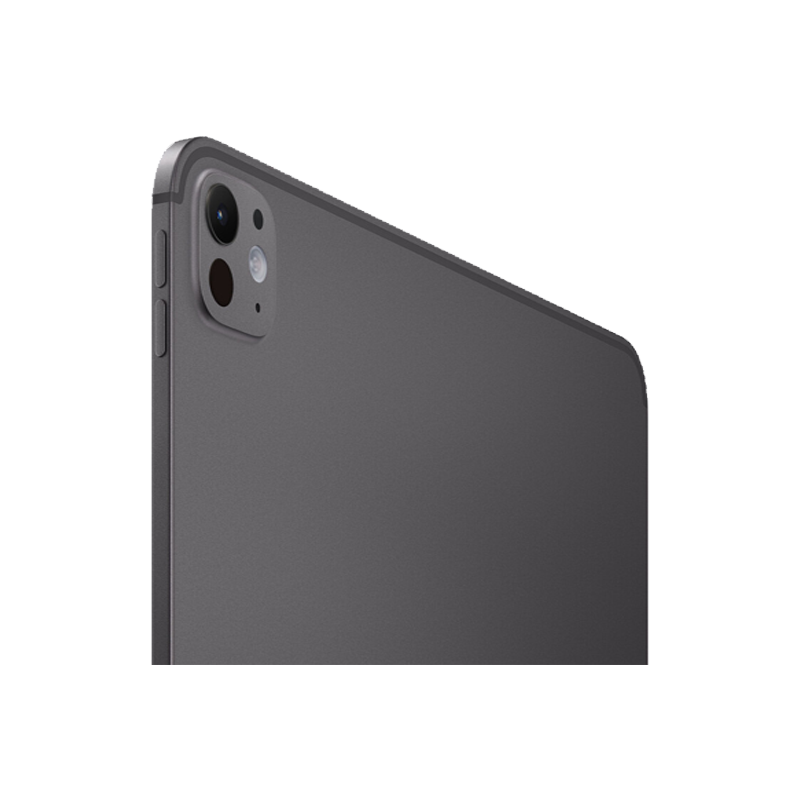 Apple iPad Pro 13" 7. Generation M4 (2024) Negro Espacial 256GB